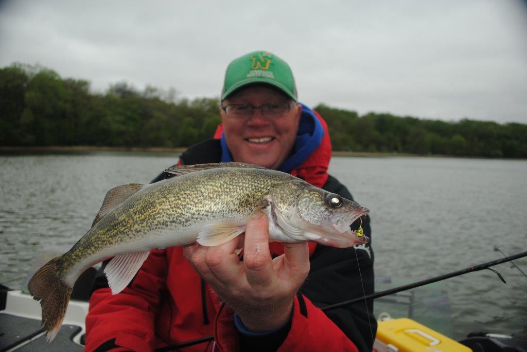 Jig-caught spring walleye
